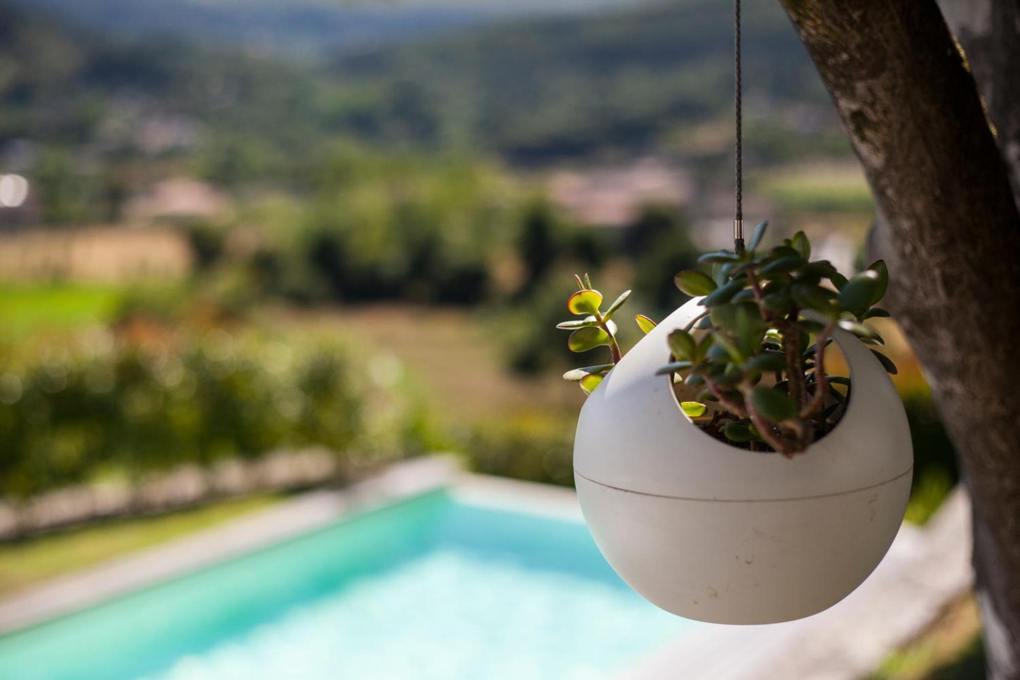 Quinta Da Mouta Villa Виейра до Миньо Екстериор снимка